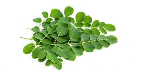 Moringa